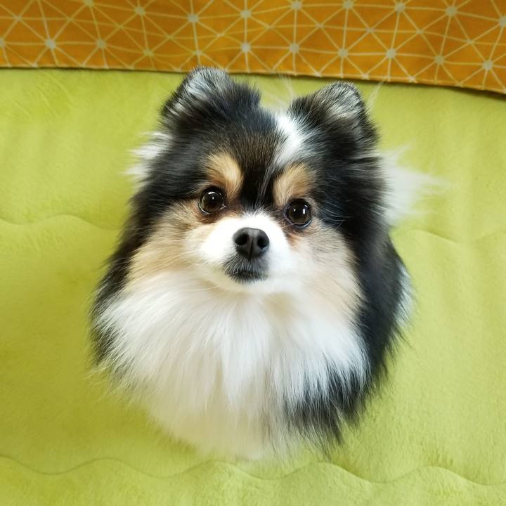 3fba617e 3361 494c bfed b644258d8137 1557183930574