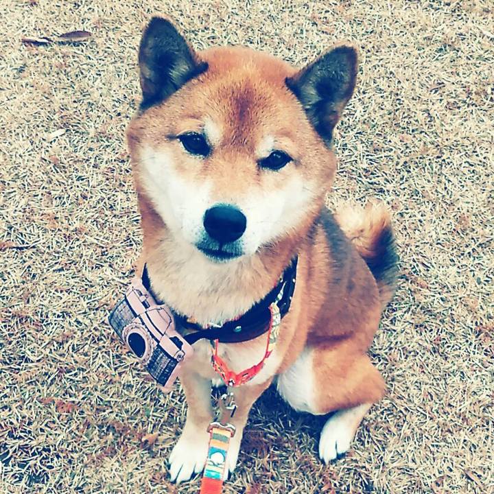 3fba89b5 1f72 43e9 9004 d72ae6a3f91e 1576199740171