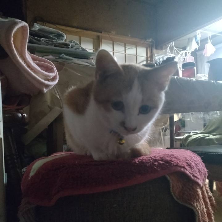 3fba8cb9 59b9 463b 9df5 11e2536c1b41 1732140460122