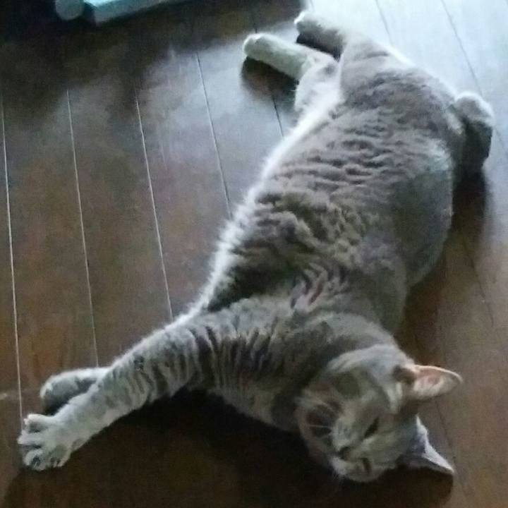 3fbaeb1c 45ee 4b28 a2ce a628fd171d07 1597041605417