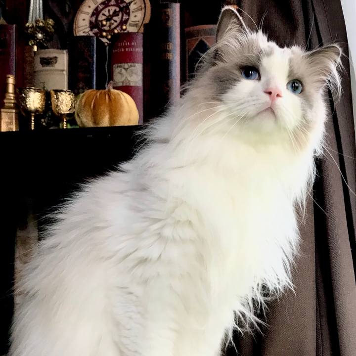 3fbb32a9 765d 40e5 af78 88d8a0117225 1591963497095