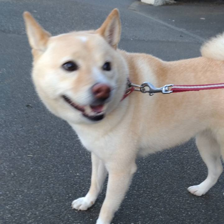 3fbb3ed9 8499 4e67 8d78 a2e31caa235d 1603929236429