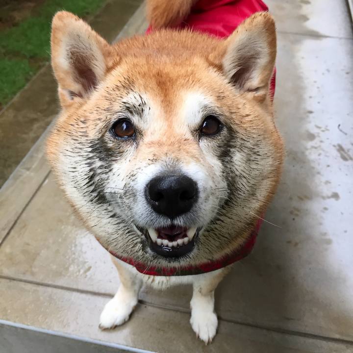 3fbb3fa2 6793 4dc3 a74b 98ff7cc42727 1593345425407