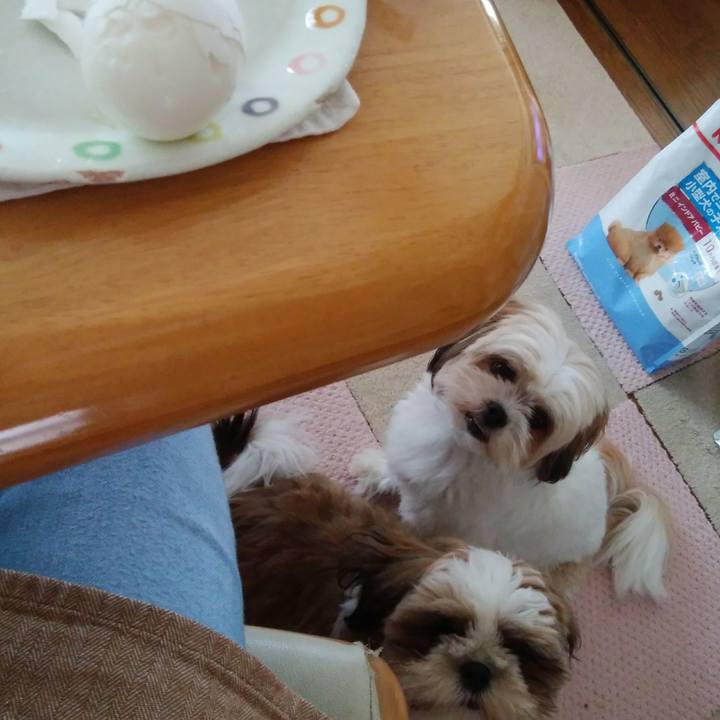 3fbbca2d 054d 4ce1 9f79 8b5c716ae372 1539661094554