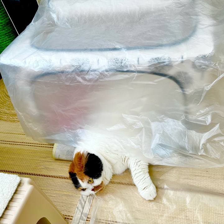 3fbbd6e0 580d 4d29 a5fd db6c5fae00c6 1657411130541