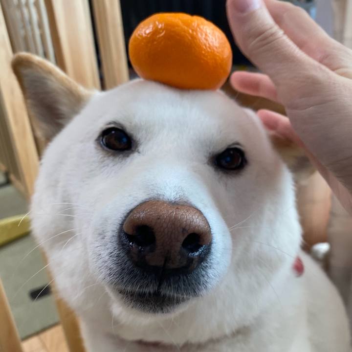 3fbbecb2 1626 4f87 a65c 3fde0ab72a97 1641039876864