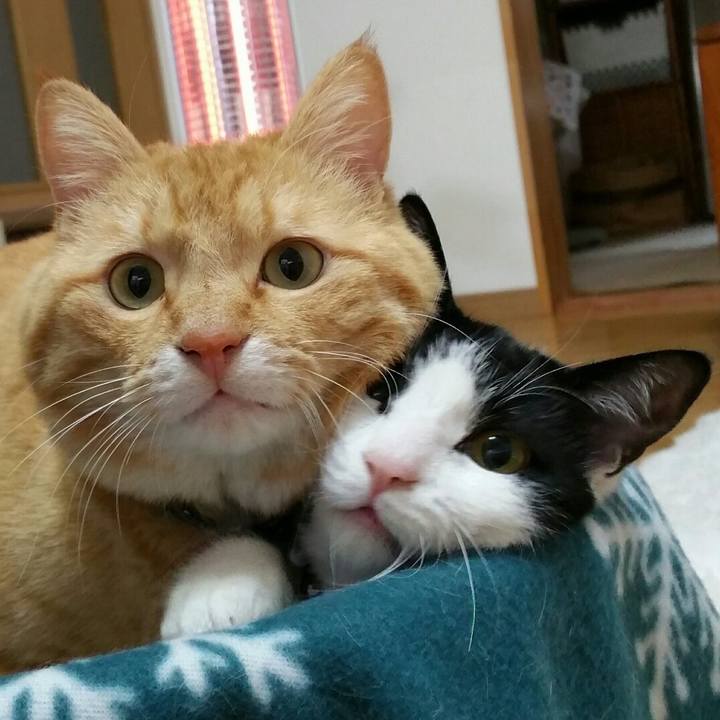 3fbc3de5 0ae0 4aff a669 e754ac711238 1615004693803