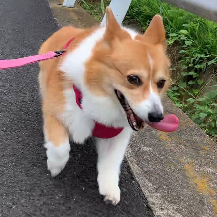 3fbc5704 9e2a 4f47 b1ba 7998724d2cb0 1658193206872