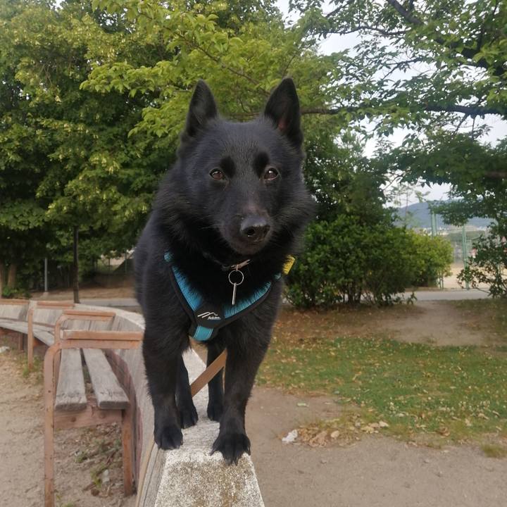 3fbc608a e4f3 440f 80d6 95debda0db31 1655068390201