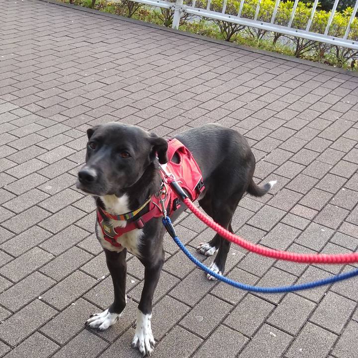 3fbc6a02 5139 4243 965c d7d49cc867e1 1585905156399