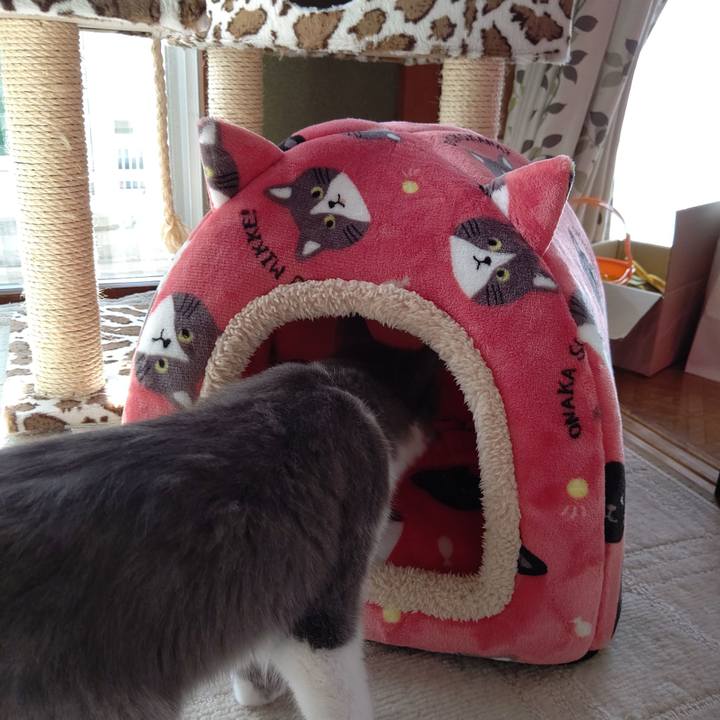 3fbcc61e 9289 45dc a105 0a8de383ead7 1570949677066