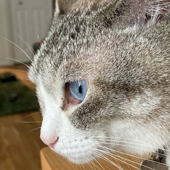 3fbcce73 a300 47db 83fc de2c80ef31c4 1630140067635