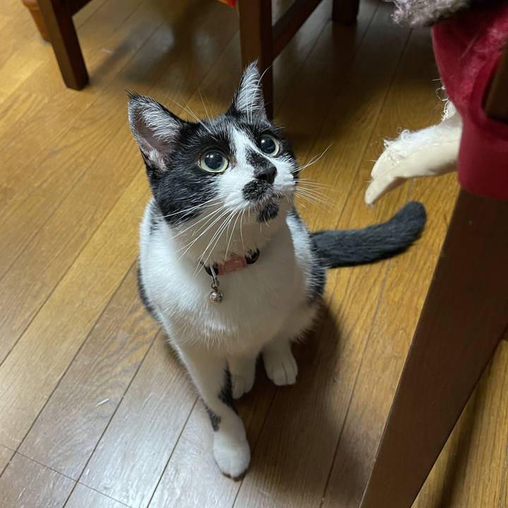 3fbced8a 8d55 4add b83f 71f63176f239 1754953447431