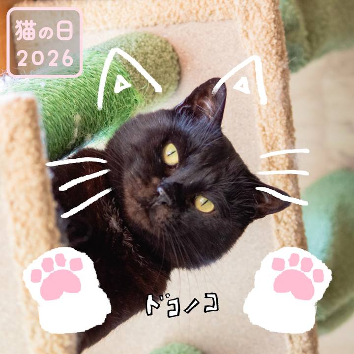 3fbcf349 4779 4fbf b095 a73248c1d83e 1771718100081