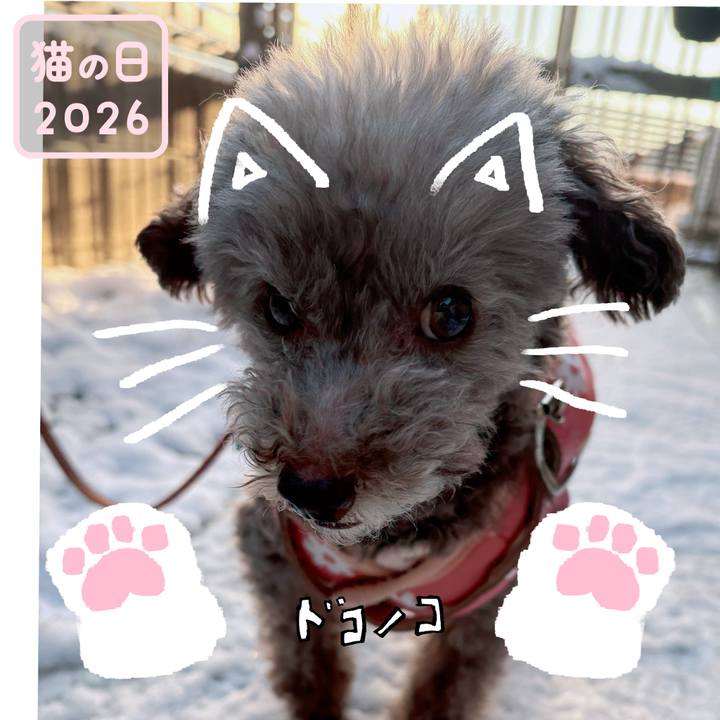 3fbd236e dd5e 4e92 a7e1 b694302c6f95 1771718580737