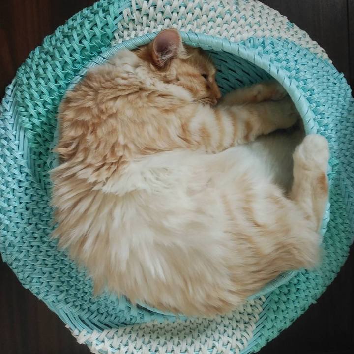 3fbd3ebd 4501 470a bab4 8d8b1826e2ec 1623398389045