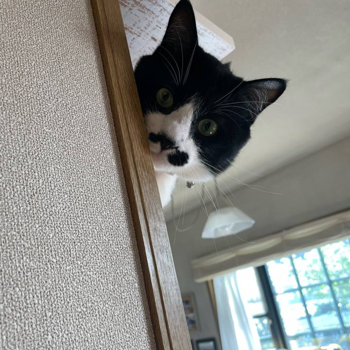 3fbd6003 759a 4e5f 9d87 e9d949cab6a5 1650844808059