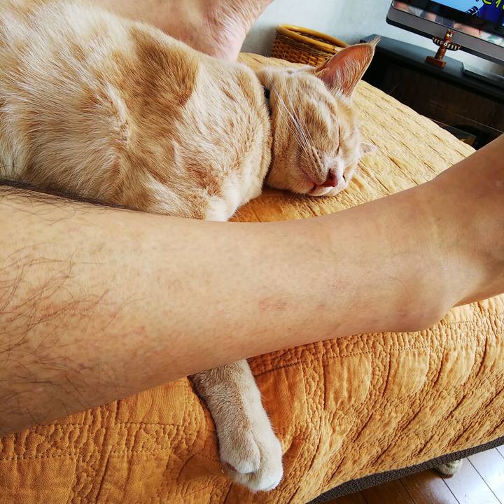 3fbda9fc 7498 430b b409 21a64344d64c 1564873514757