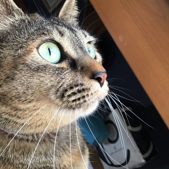 3fbdcf86 72c3 4ae7 a2e0 837246320525 1683376827947