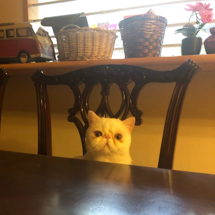 3fbdd9f2 ffb2 4a37 9ebe dec2b3ea1ce4 1584874418764