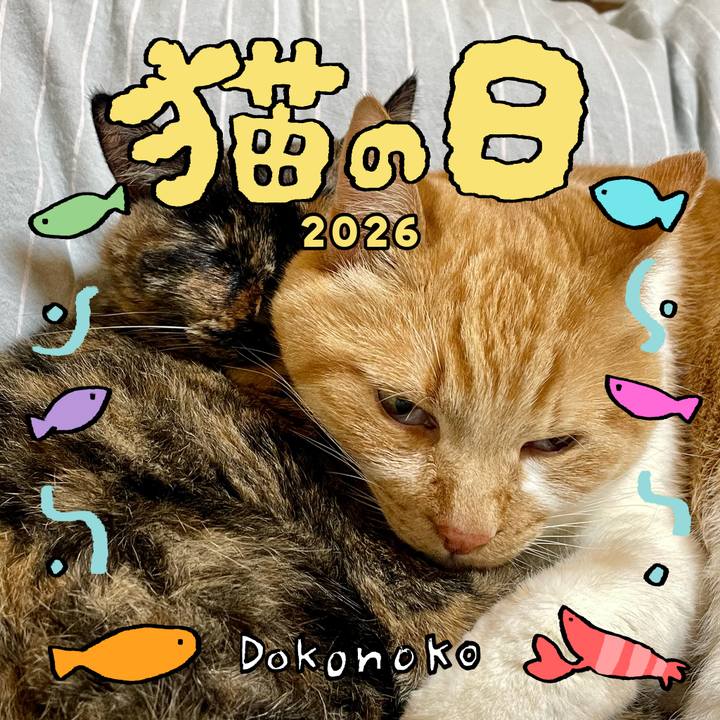 3fbde23b 498e 48ca bc7d ee705d156331 1771776016984