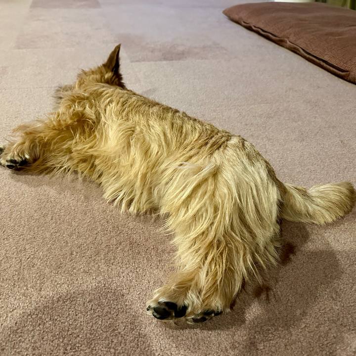 3fbde313 4f6b 4f8c 9f4d 3c46140e80cf 1743165844813