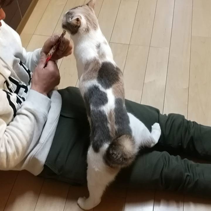 3fbe369b 5de7 4f17 8d1d 5991958feffe 1583832625120