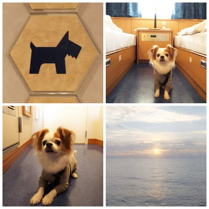 3fbe6215 8186 4085 8634 b0b811c75e69 1539406910008