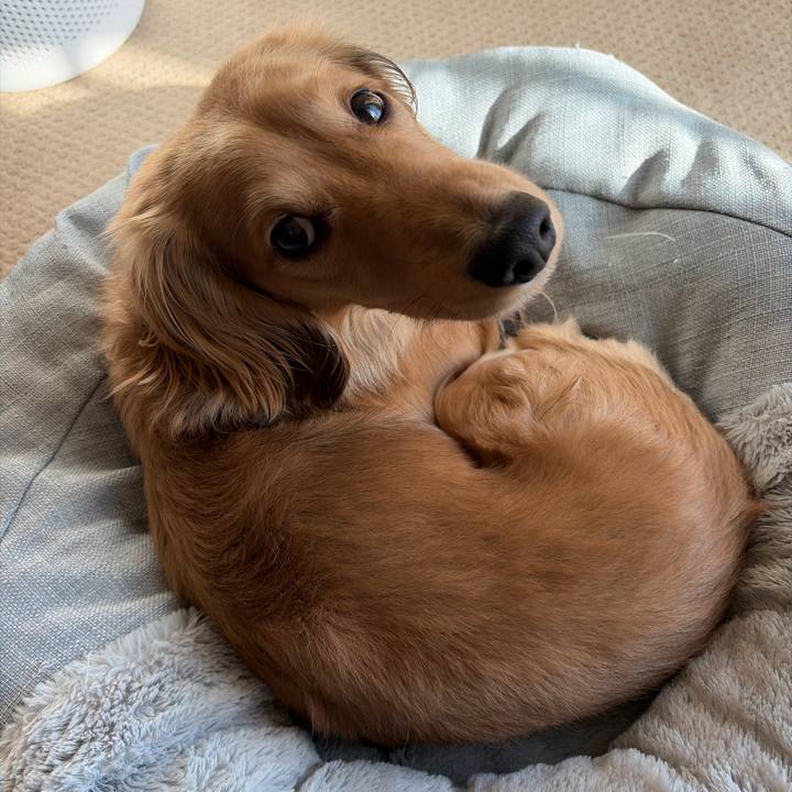 3fbe8d46 169c 4c83 95a8 53ae5f6884d6 1772031784388