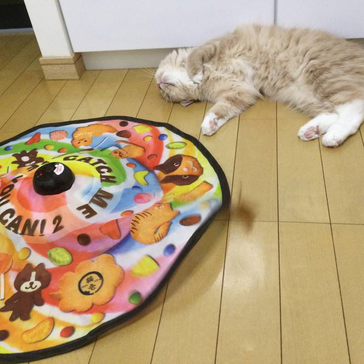 3fbe9278 56cd 4dfa 8ca4 7363c69479cd 1613313987770