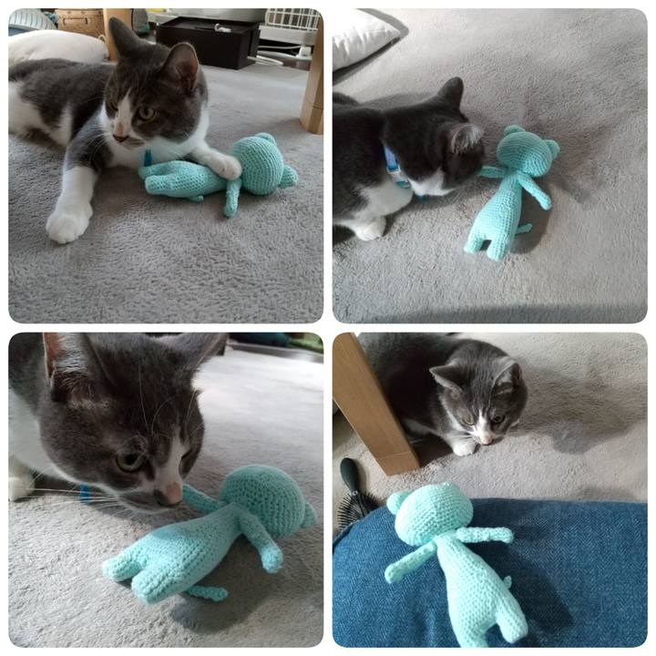 3fbeb3f8 e1fc 4e27 b28d 834d5d853e14 1628294882686