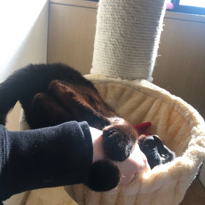 3fbed659 e1a7 4fa9 b6ce 4b34d677feee 1614151849894