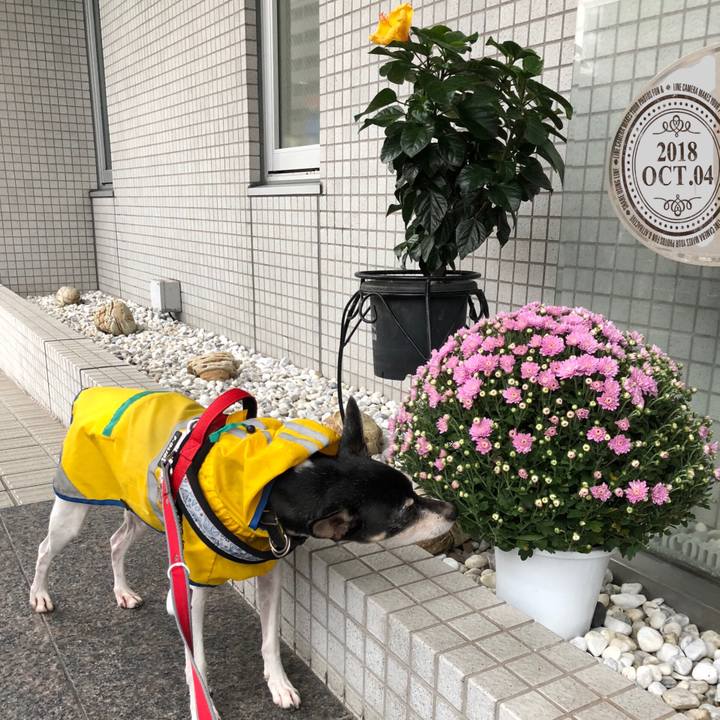 3fbef29f 8126 49b1 bc2f 5f88d236d576 1538609313106