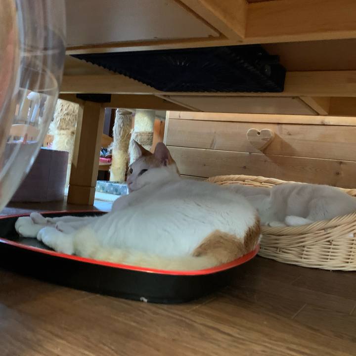 3fbf14e5 25b4 4057 9731 ea744c61d3f3 1617400533523