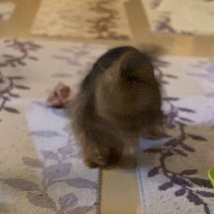 3fbf2328 750a 4107 96c1 03ad93461524 1539683404631