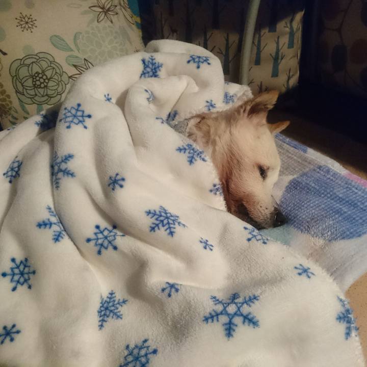 3fbf36c0 b73b 4c6e 8f5e 1a8444144901 1547738901492