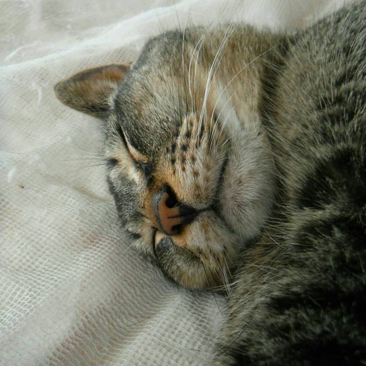 3fbf5310 d745 4cb3 95b4 b6688a8b8bba 1562312825807