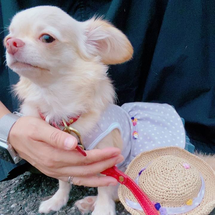 3fbf6af9 f9e5 474c 8c79 b43d6b4fca48 1631451783756