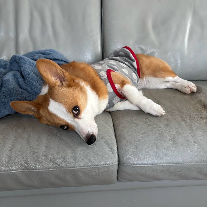 3fbf870d 4d83 42f4 886d c13f2418c955 1764632165941