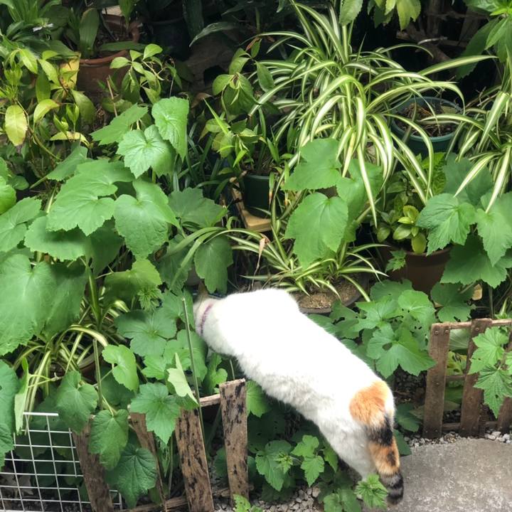 3fbf8e47 7834 445c b101 e5c82630994f 1558332839753