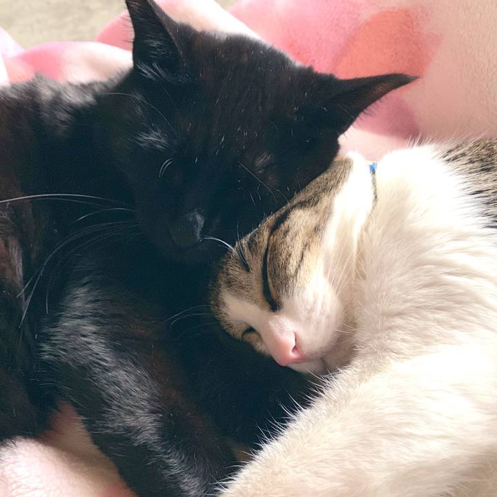 3fbf9680 4f6e 46b4 b5db 11a4ec3e9c35 1553513322938