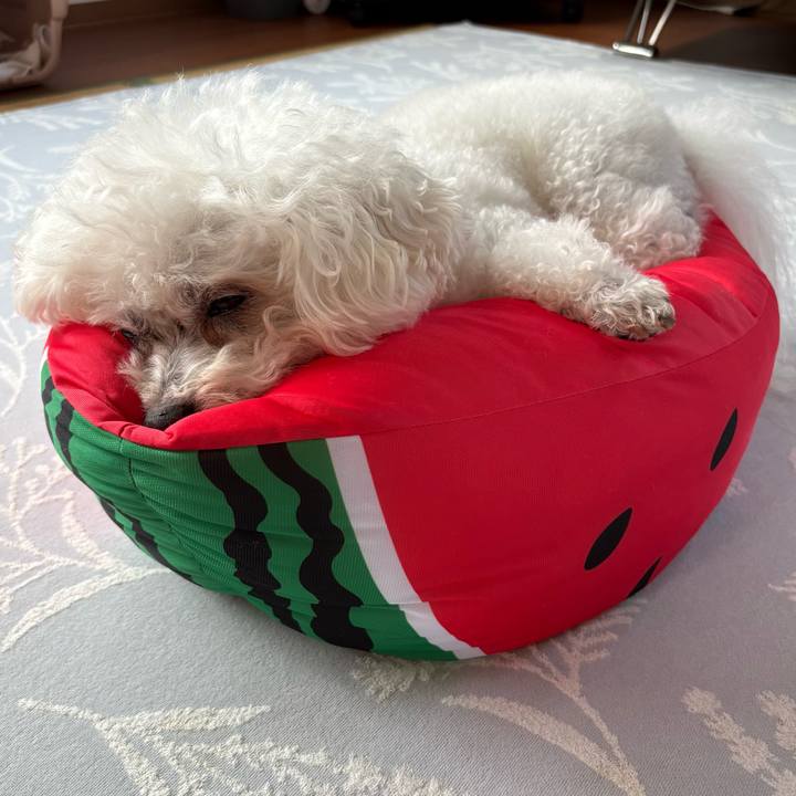 3fbfbe05 470e 41a6 8e18 34fe9afa1a9e 1751512113428