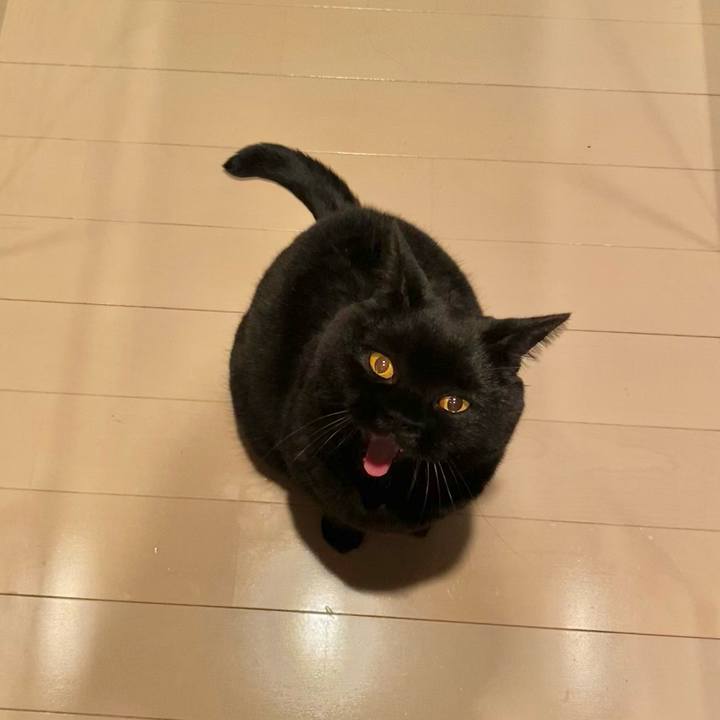 3fc016f2 cd41 4661 a213 36733030483b 1765889231641