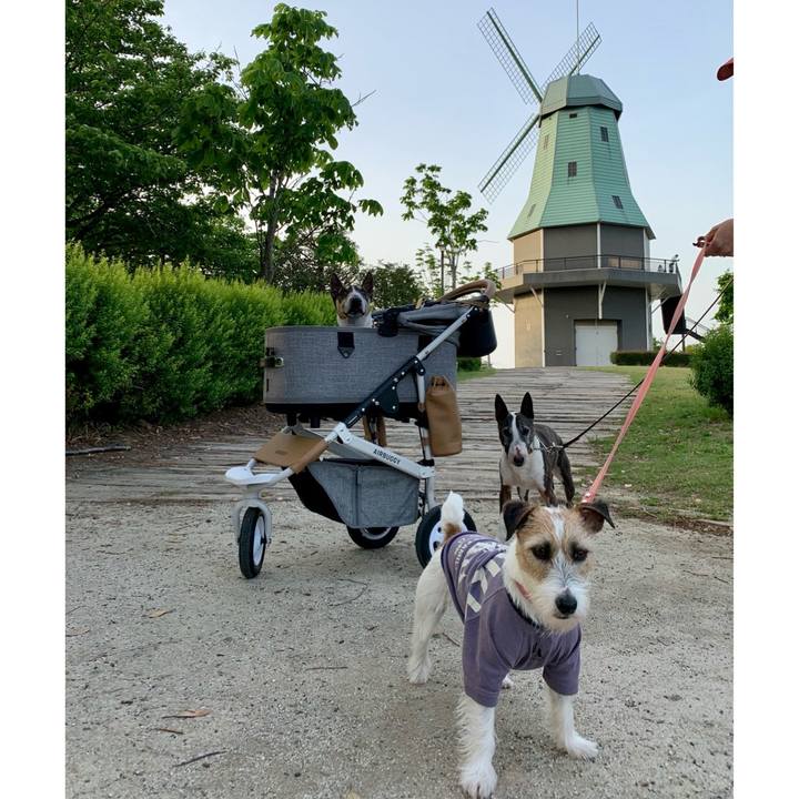 3fc04a69 1cae 49d3 8e21 66c1d929d2a6 1620192702541