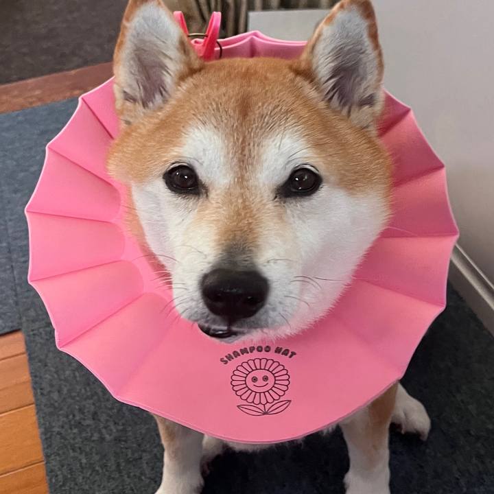 3fc06b4f 1dc2 45e5 b091 79e549c60741 1706319986027