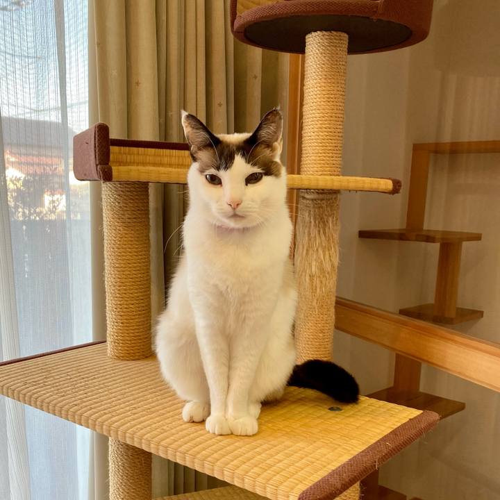 3fc07219 72e4 4a52 8253 6245df973acc 1643800888696