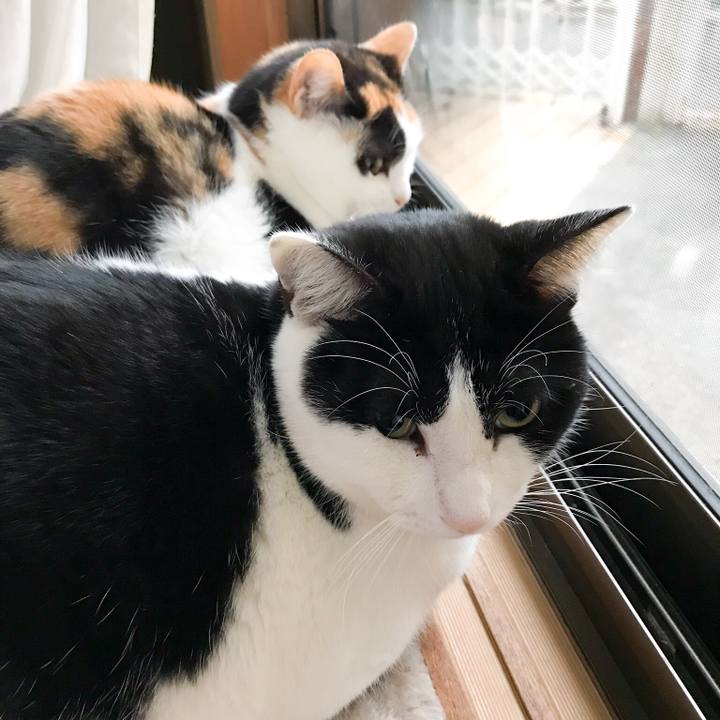 3fc099a1 2260 445b bccd 07217f289482 1519779698190