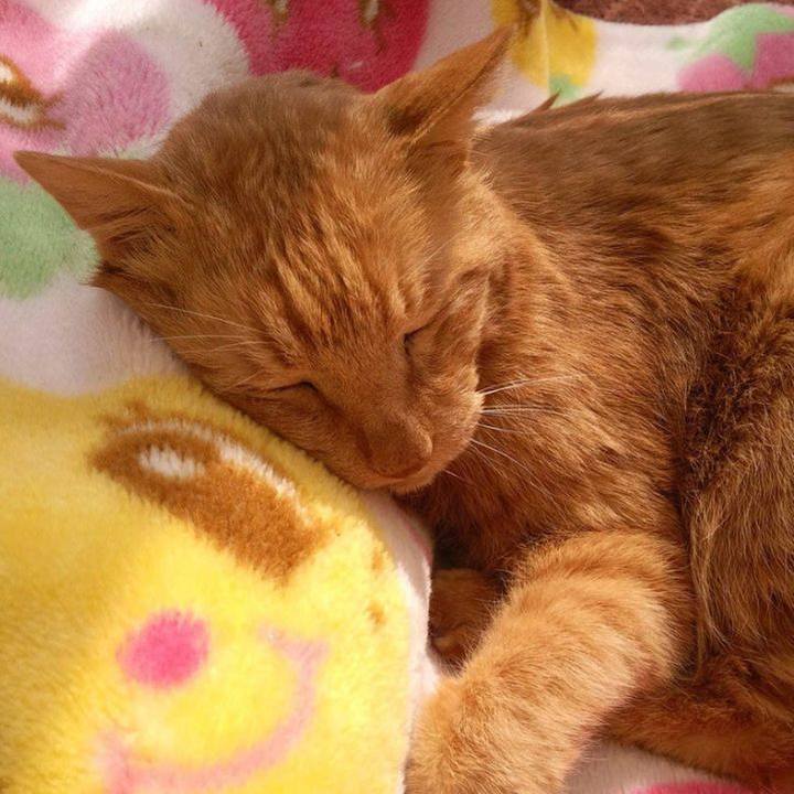 3fc0b3b3 f76b 4196 9072 bb922cd0bd3d 1678834672758