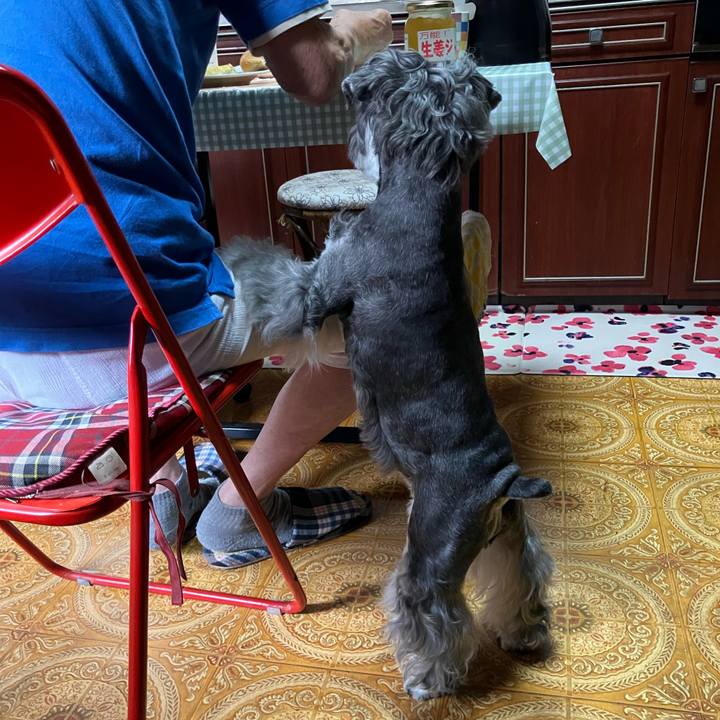 3fc0d559 0814 4b7b a167 39354060051a 1727484401164