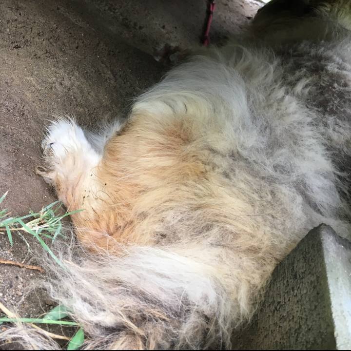 3fc0f041 32ca 4c95 a0dc 88a783f8eb98 1637711119162